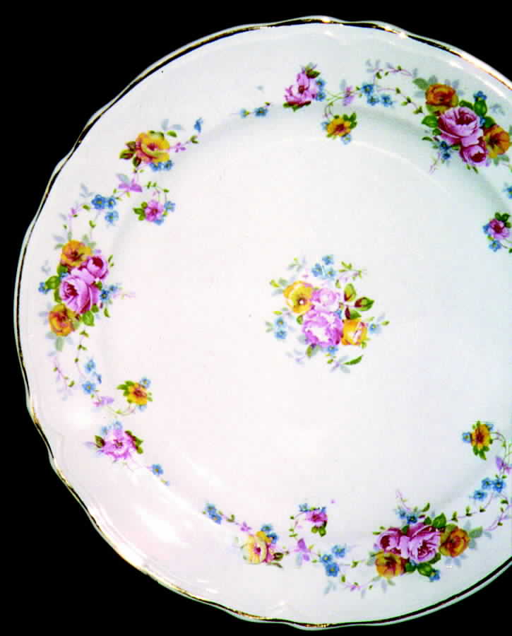 KNO439 Dinner Plate by Edwin Knowles-1