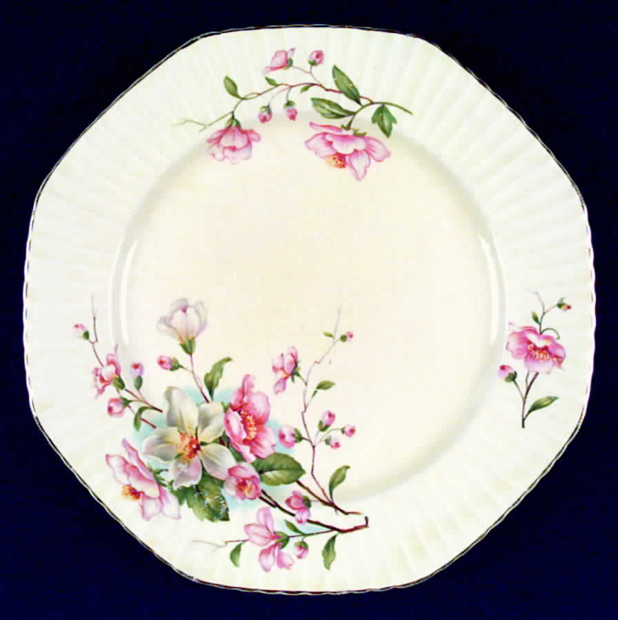 KNO380 Dinner Plate by Edwin Knowles-1