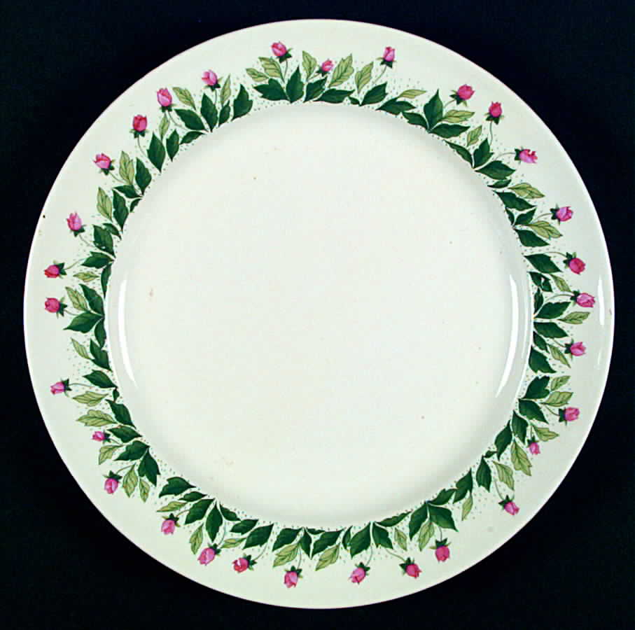 KNO440 Dinner Plate by Edwin Knowles-1
