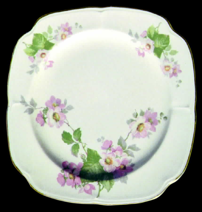 KNO143G Salad Plate by Edwin Knowles-1