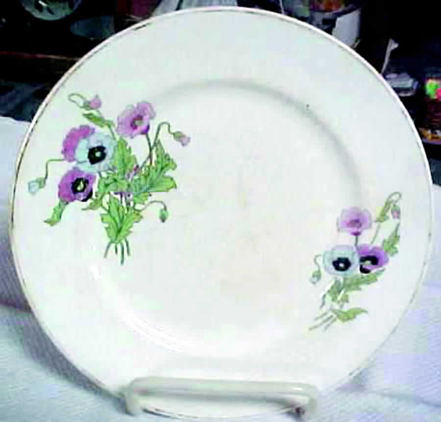 KNO453 Dinner Plate by Edwin Knowles-1