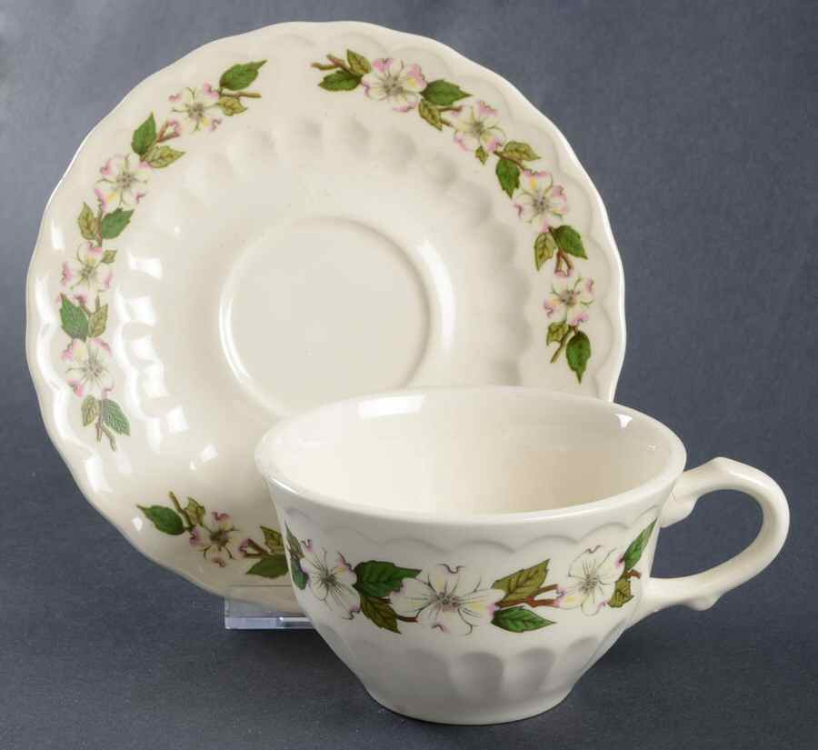 Hermitage Flat Cup & Saucer Set by Edwin Knowles-1