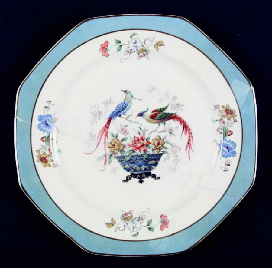 Maryland Dinner Plate by Edwin Knowles-1