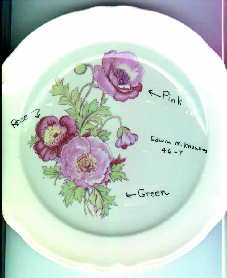 KNO460 Dinner Plate by Edwin Knowles-1
