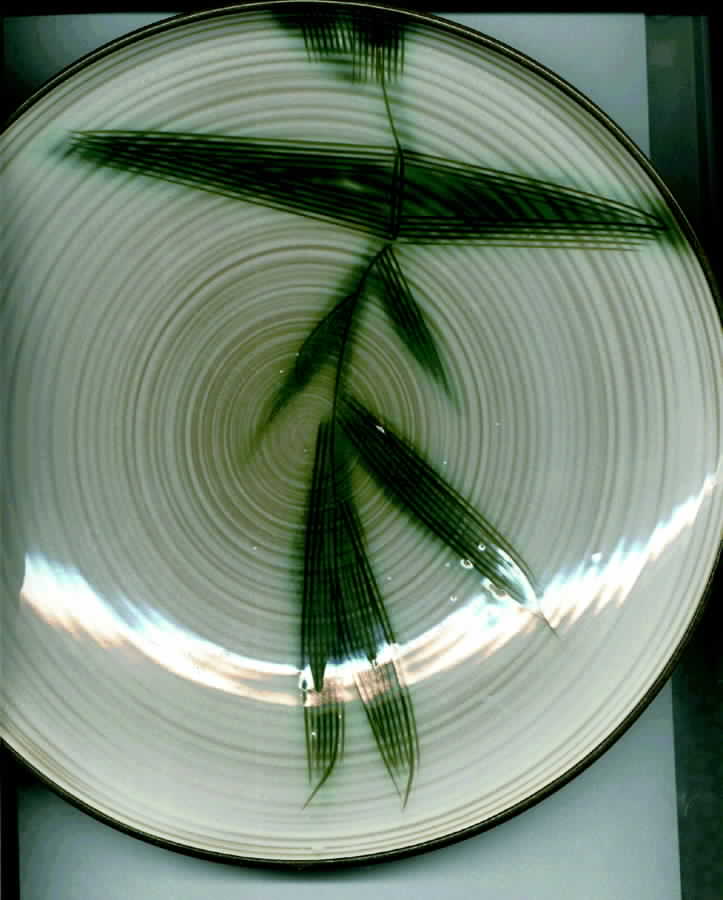 KAS7 Dinner Plate by Kasuga-1