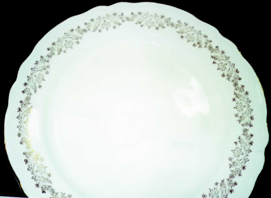 James Golden Vine Dinner Plate by Edwin Knowles-1