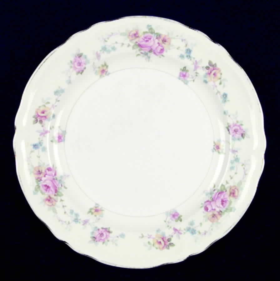 KNO469 Dinner Plate by Edwin Knowles-1