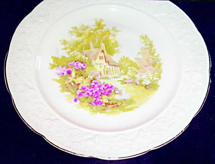 KNO478 Dinner Plate by Edwin Knowles-1