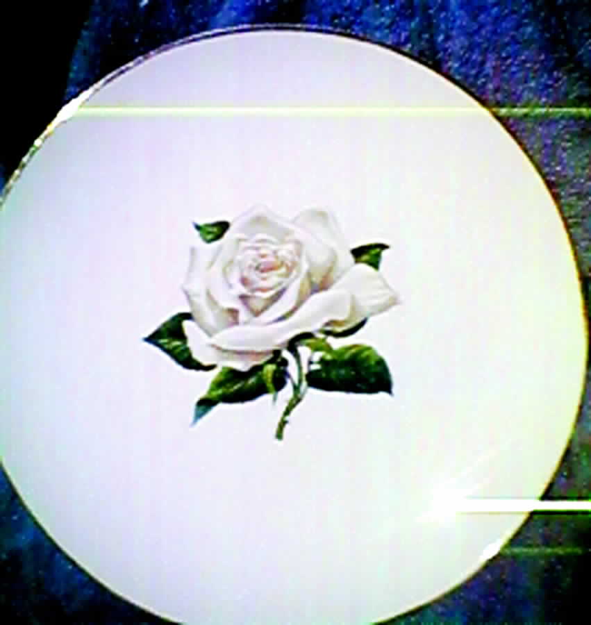 KNO487 Salad Plate by Edwin Knowles-1