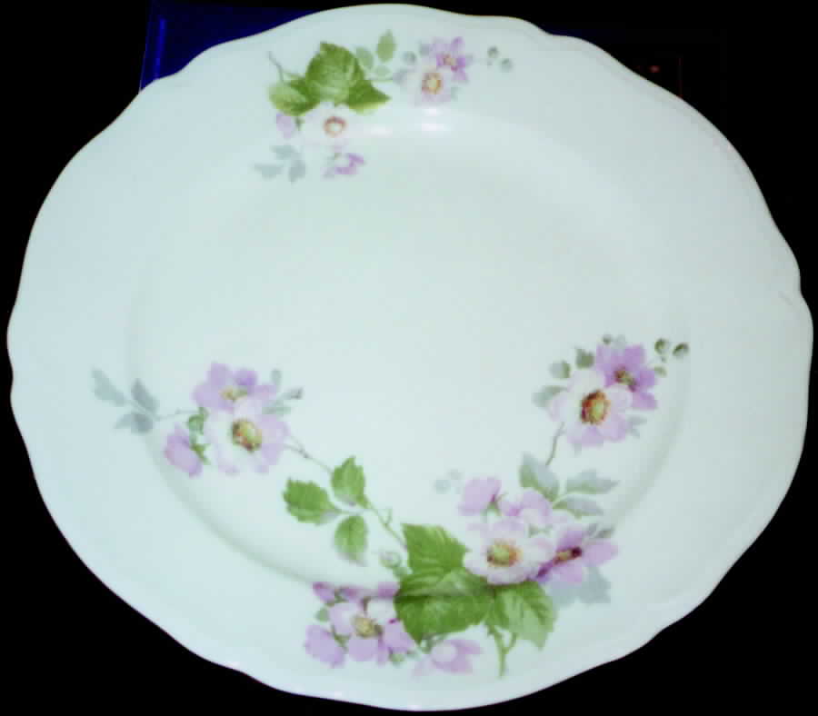 KNO489 Dinner Plate by Edwin Knowles-1