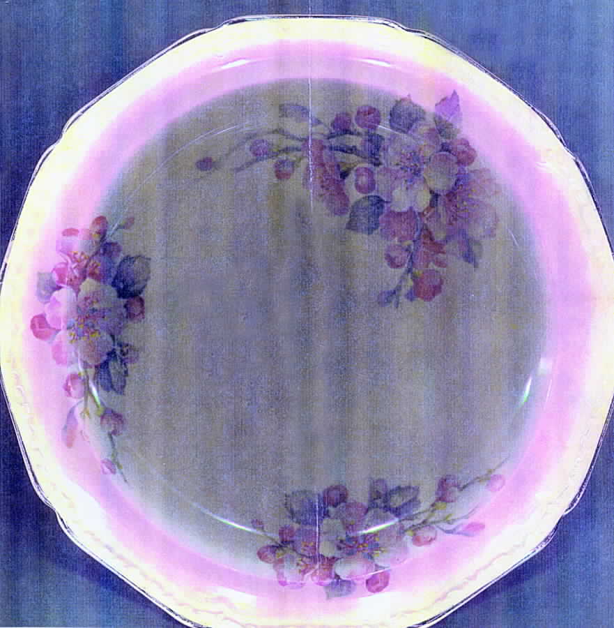 KNO498 Dinner Plate by Edwin Knowles-1