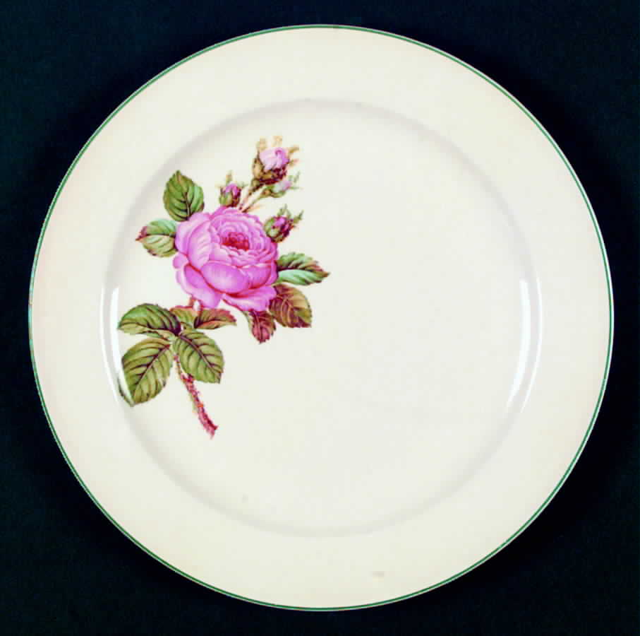 KNO505 Dinner Plate by Edwin Knowles-1