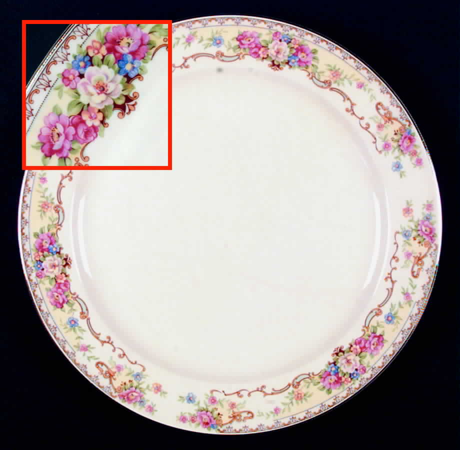 KNO510 Dinner Plate by Edwin Knowles-1