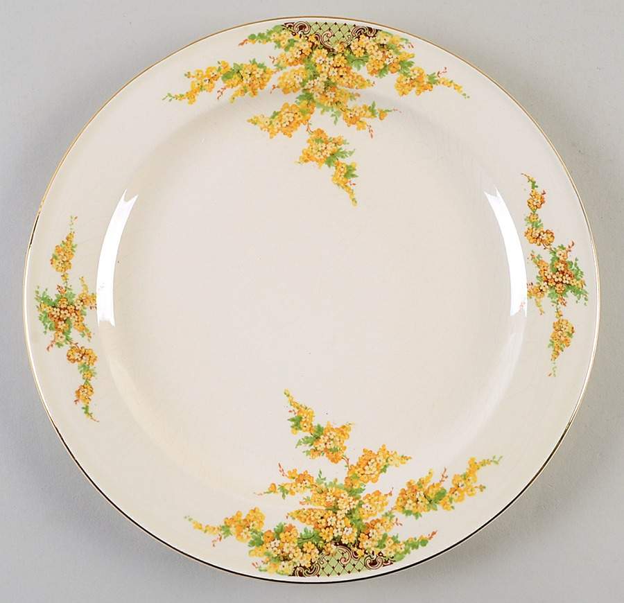 442E1T Dinner Plate by Edwin Knowles-1