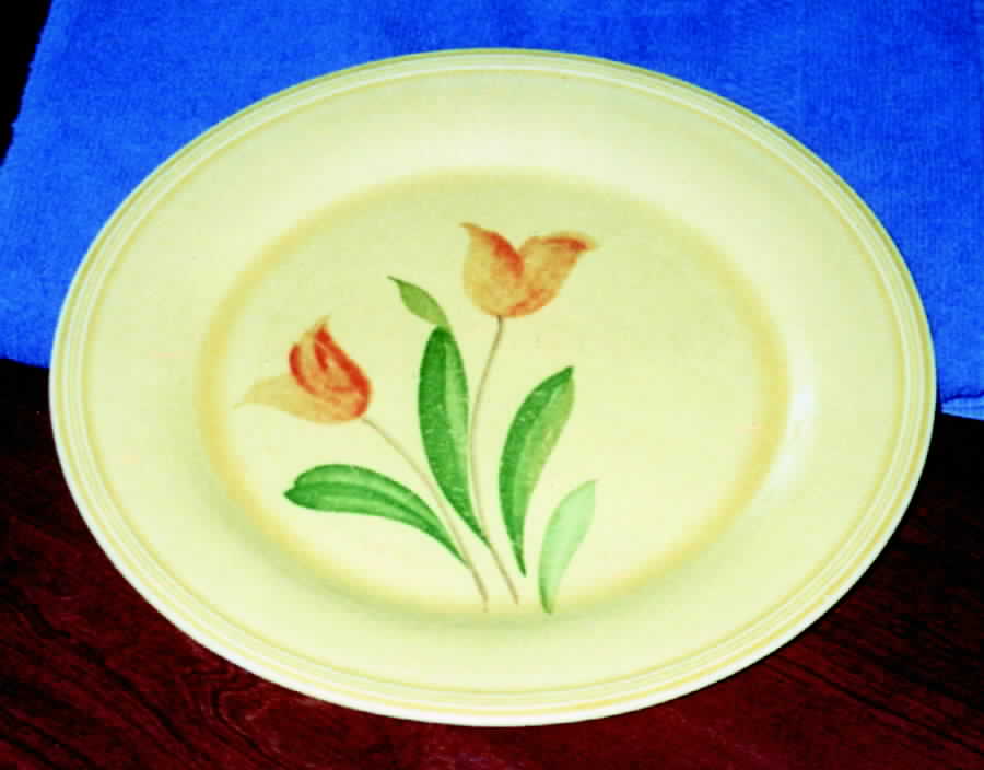 KNO513 Dinner Plate by Edwin Knowles-1
