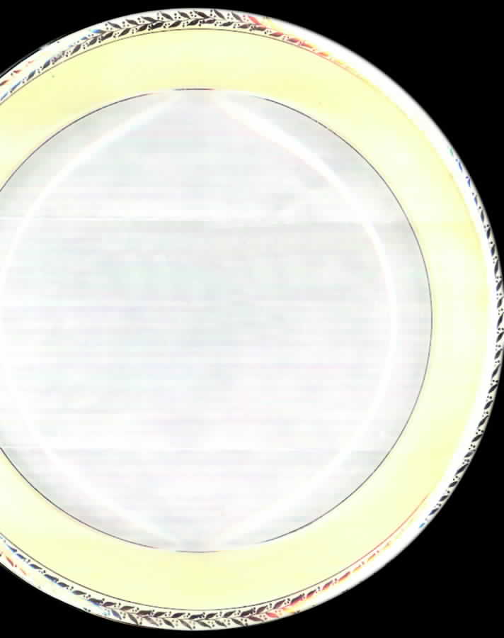 KNO517 Dinner Plate by Edwin Knowles-1