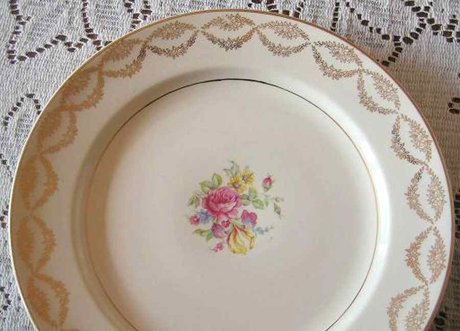 KNO519 Dinner Plate by Edwin Knowles-1