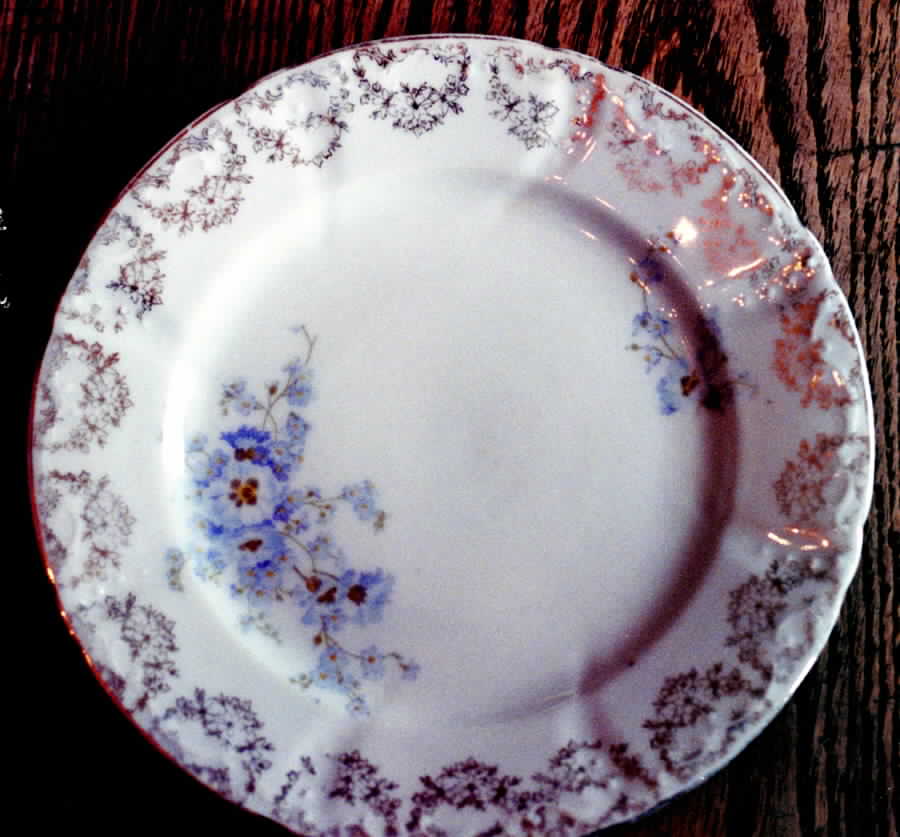 3007 Luncheon Plate by KPM-1