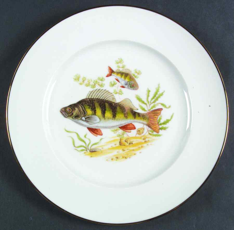 JKW75 RIM Dinner Plate by JKW Bavaria-1