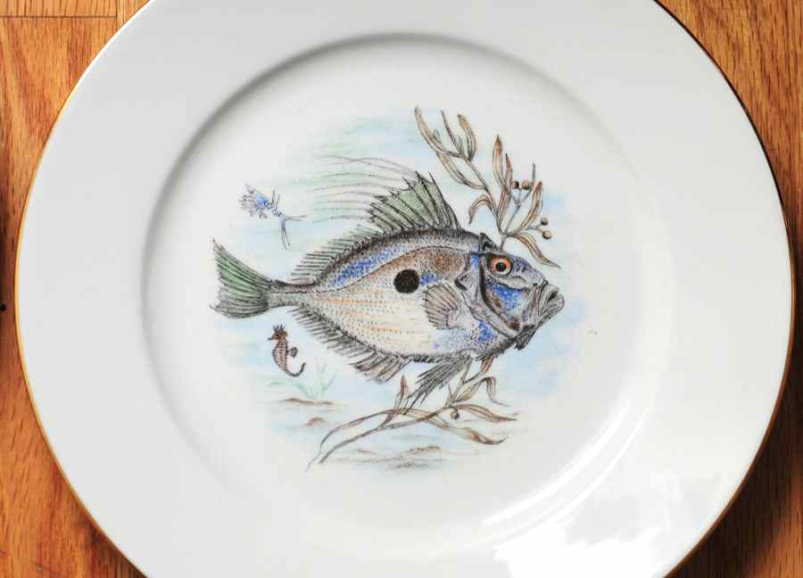 JKW75 RIM Dinner Plate by JKW Bavaria-1