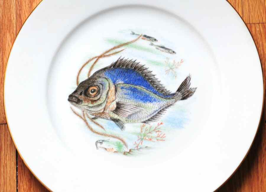 JKW75 RIM Dinner Plate by JKW Bavaria-1