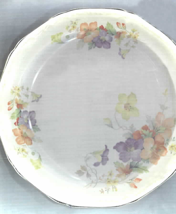 KNO156 Dinner Plate by Edwin Knowles-1