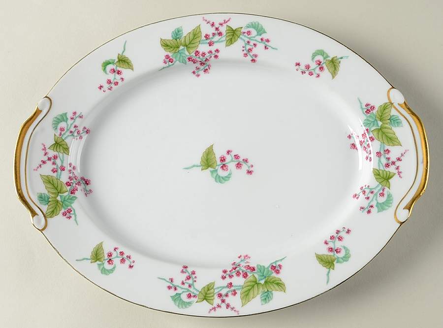 KON86 11" Oval Serving Platter by Kongo-1