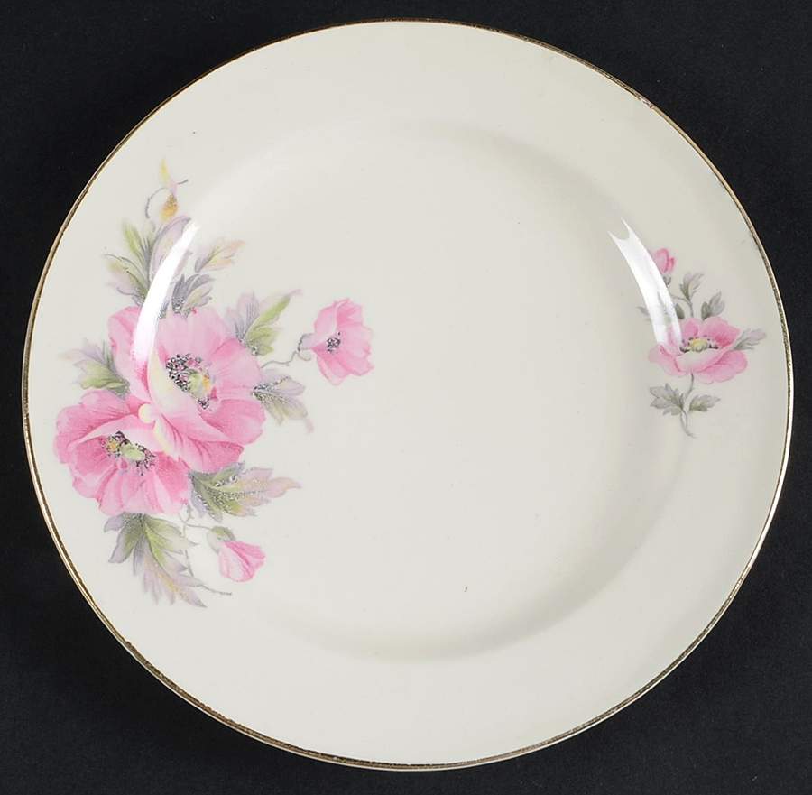 KNO536 Salad Plate by Edwin Knowles-1