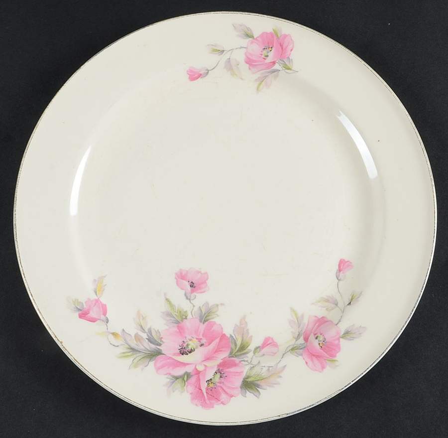 KNO536 Dinner Plate by Edwin Knowles-1