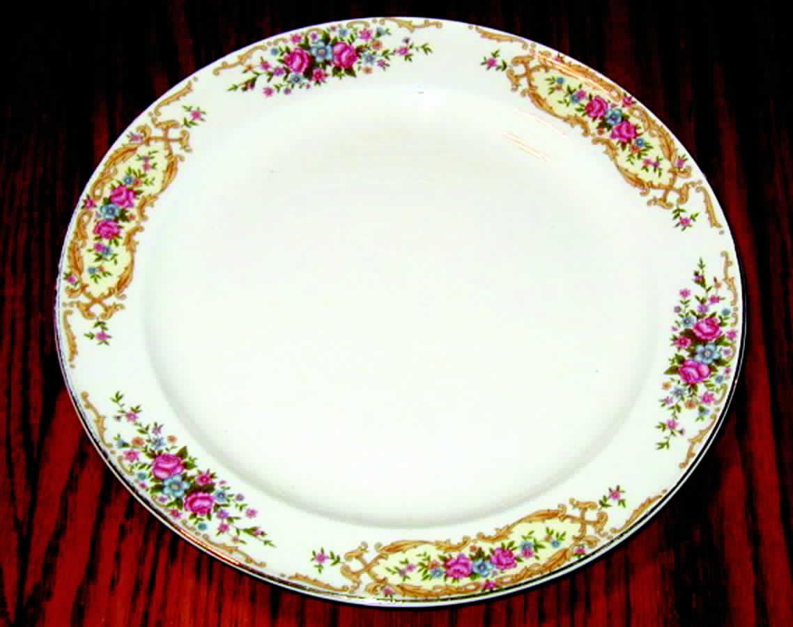KNO539 Dinner Plate by Edwin Knowles-1