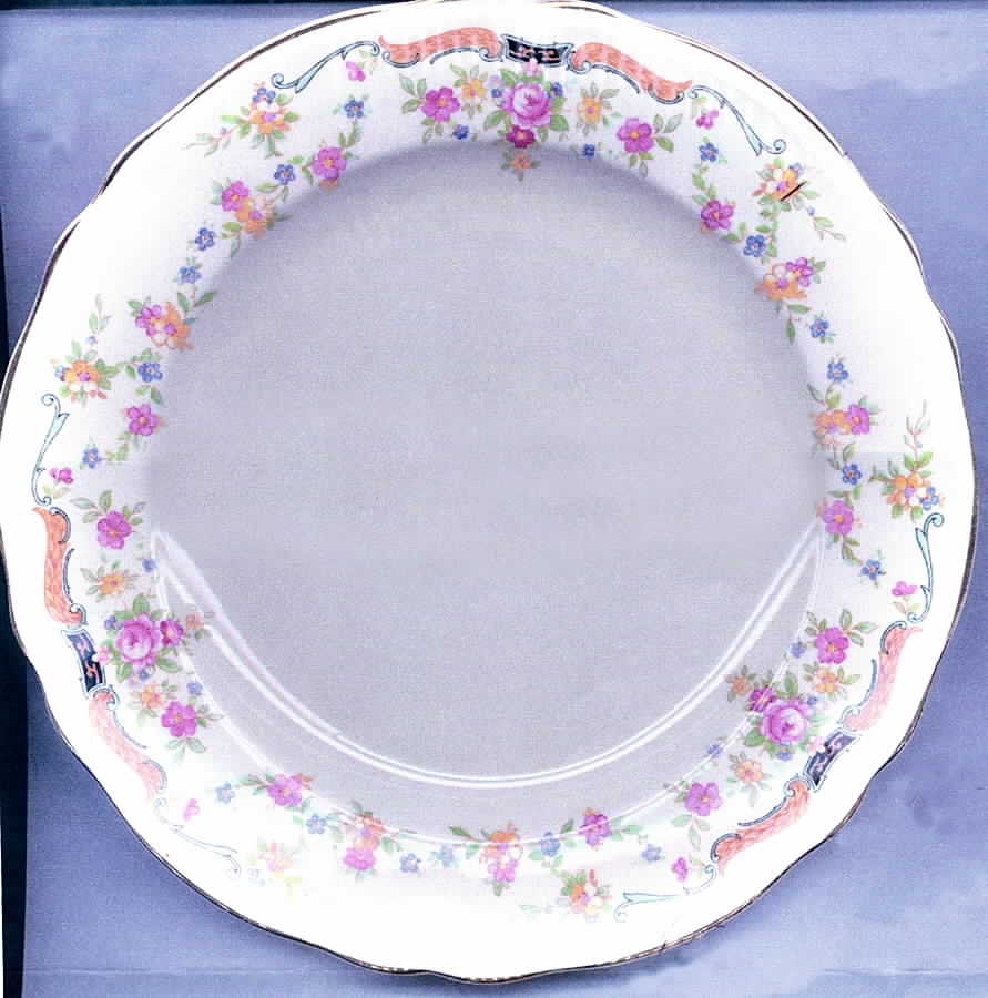 KNO553 Dinner Plate by Edwin Knowles-1
