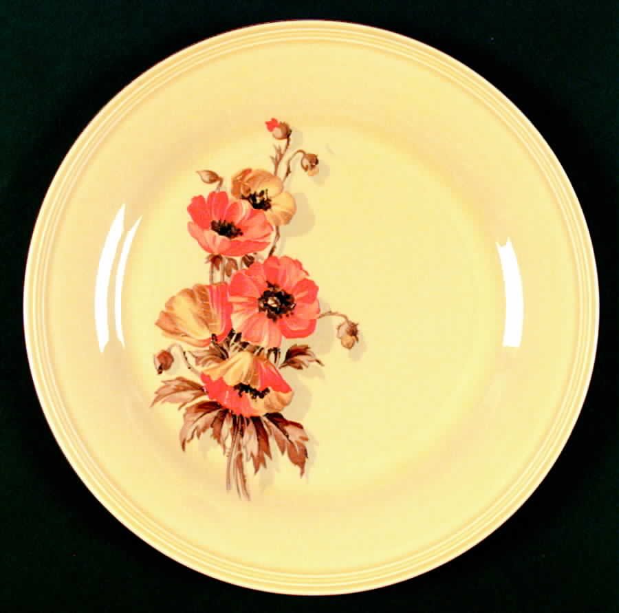 KNO559 Dinner Plate by Edwin Knowles-1