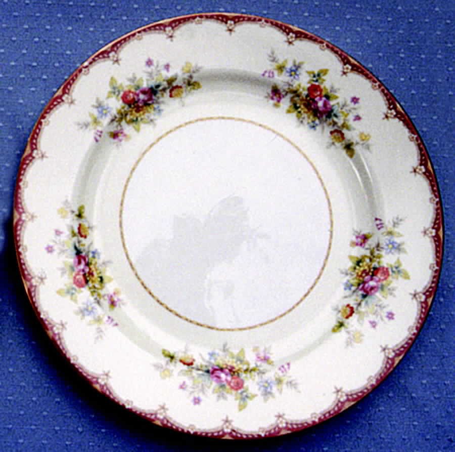 KIK40 Dinner Plate by Kikusui-1