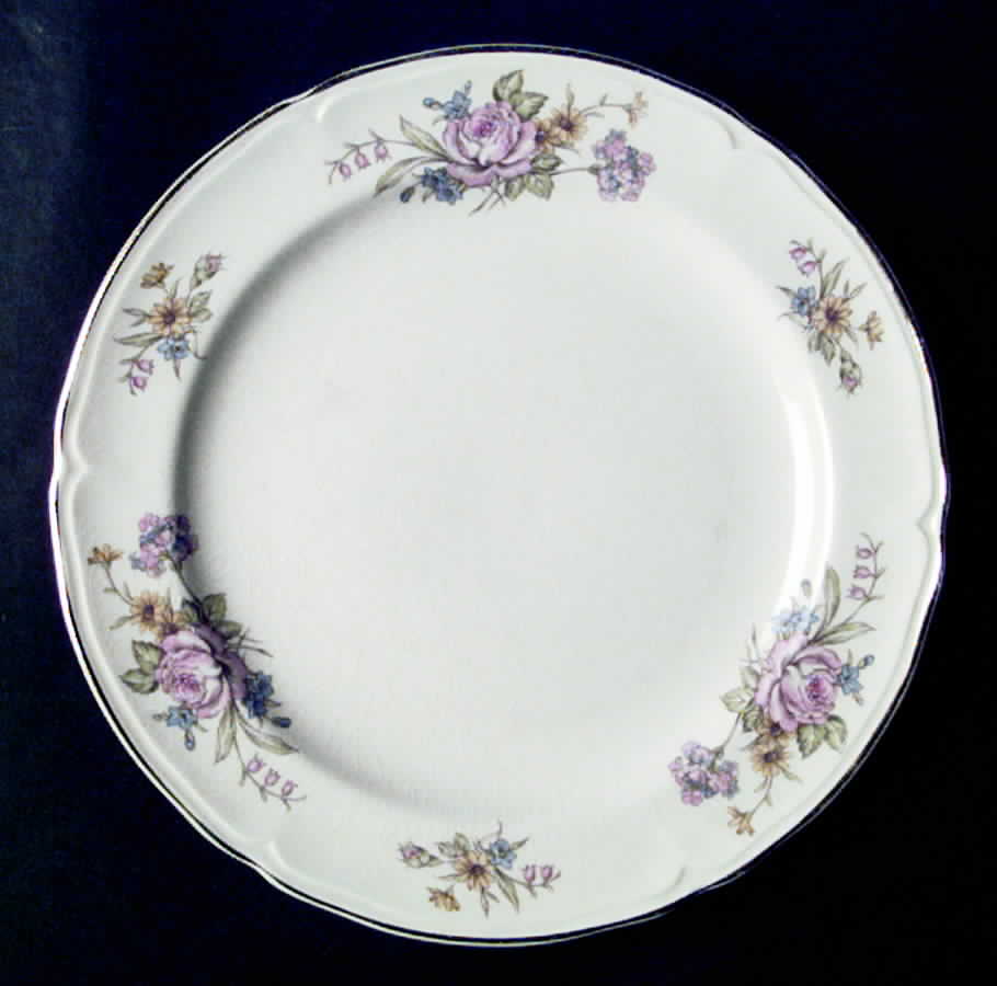 KNO581 Salad Plate by Edwin Knowles-1