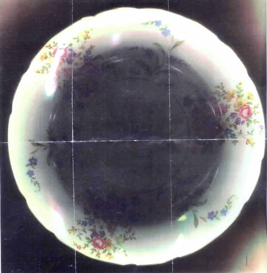 ROI40 Dinner Plate by Royal Ivory (Czech, Germany)-1