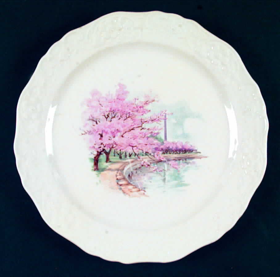 KNO588 Dinner Plate by Edwin Knowles-1
