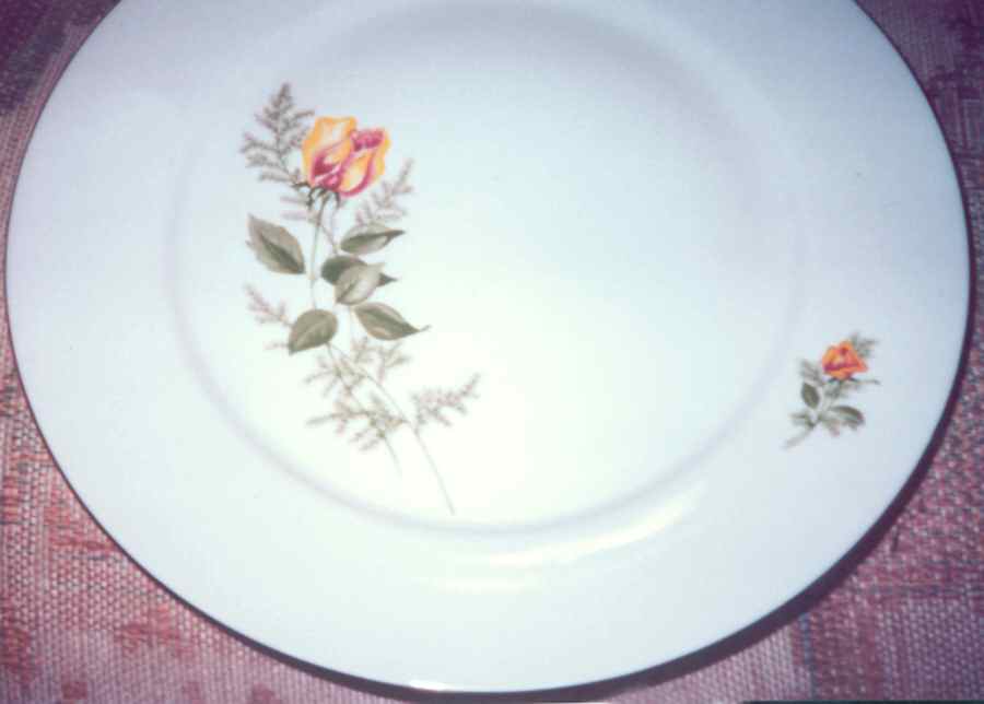 KHL20 Dinner Plate by Kahla-1