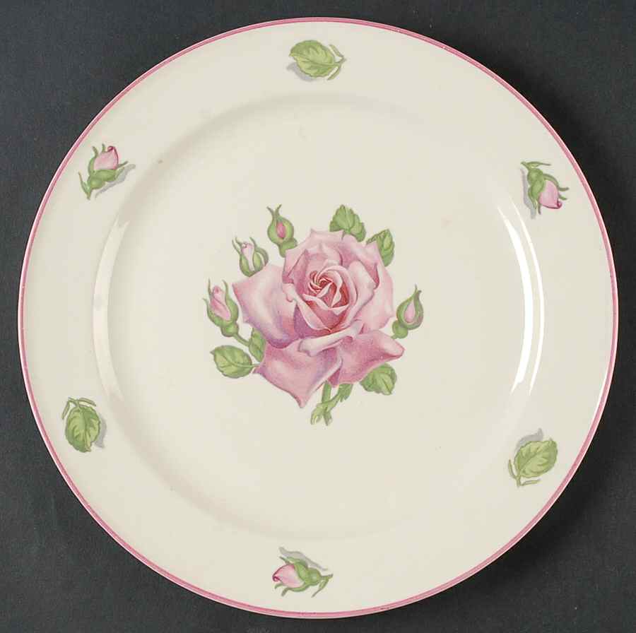 KNO591 Dinner Plate by Edwin Knowles-1