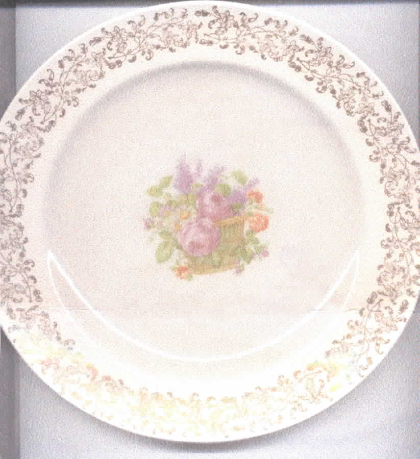 KNO599 Dinner Plate by Edwin Knowles-1