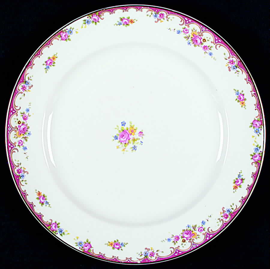KNO396 Dinner Plate by Edwin Knowles-1