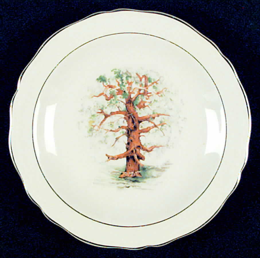 KNO618 Saucer by Edwin Knowles-1