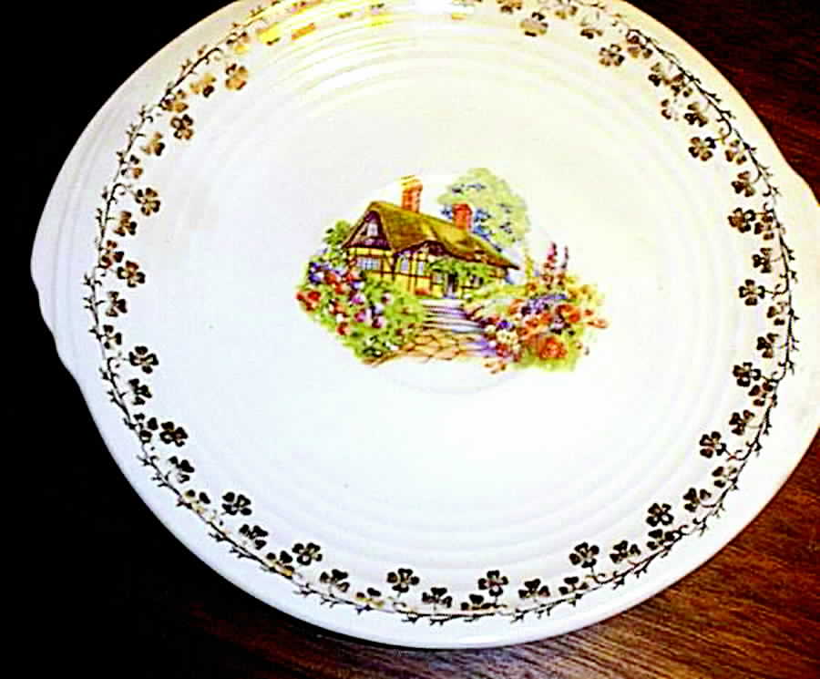 KNO646 Dinner Plate by Edwin Knowles-1