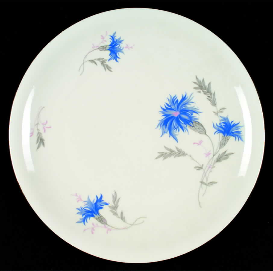0100 (Smooth) Dinner Plate by KPM-1