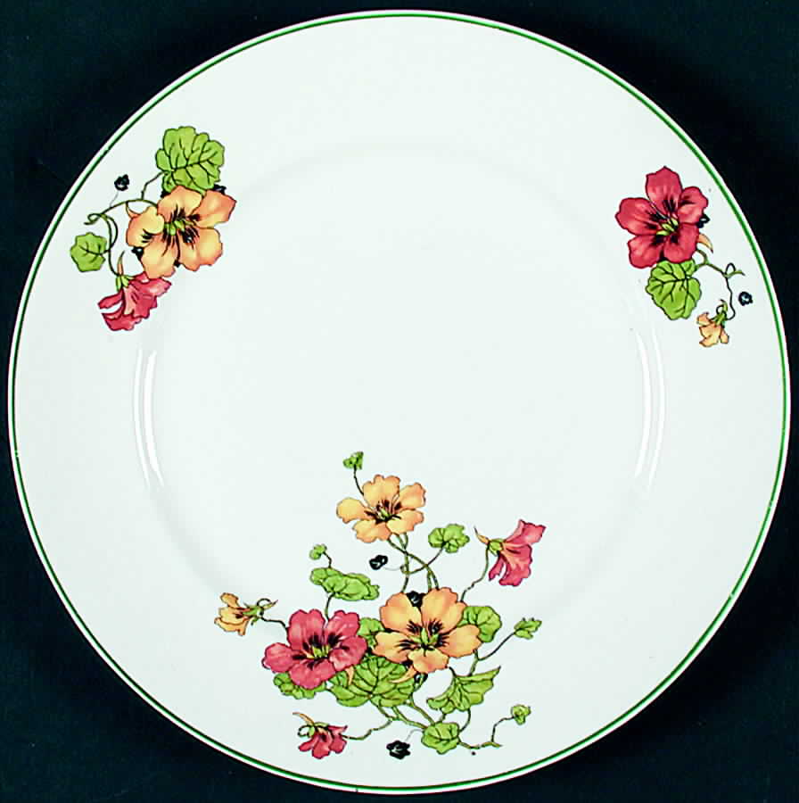 KNO675 Dinner Plate by Edwin Knowles-1