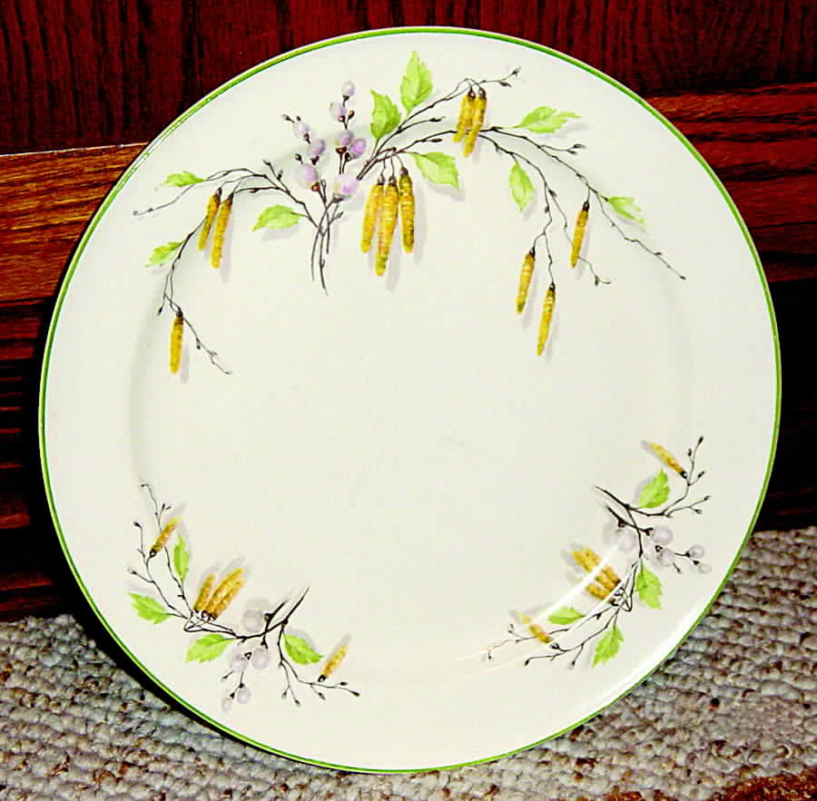 KNO688 Dinner Plate by Edwin Knowles-1