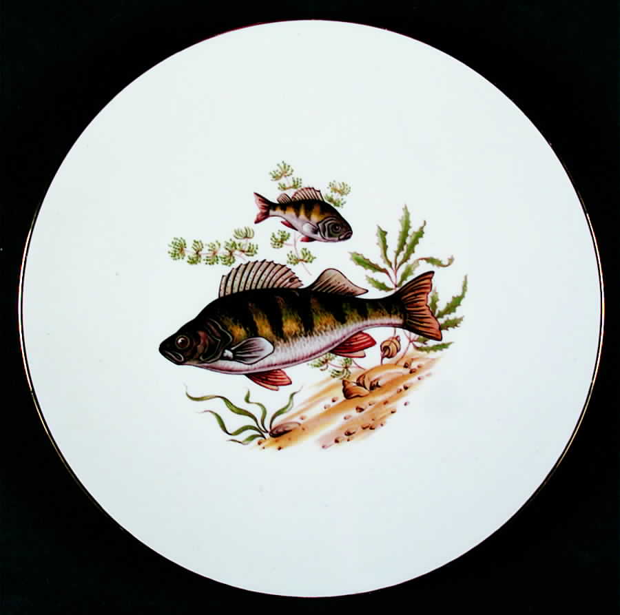 JKW75 Coupe Dinner Plate by JKW Bavaria-1