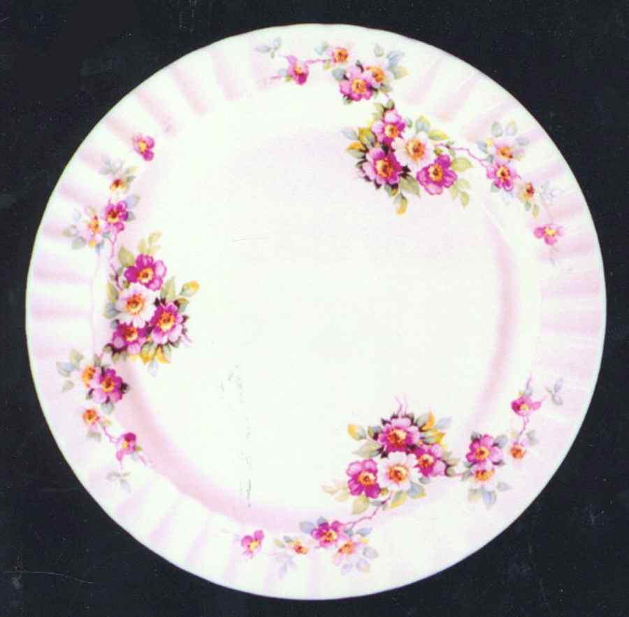 KNO703 Dinner Plate by Edwin Knowles-1