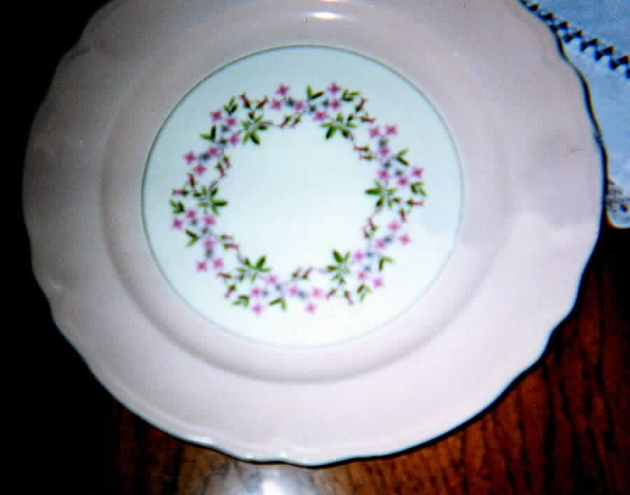 KNO709 Dinner Plate by Edwin Knowles-1