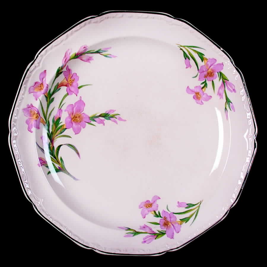 KNO711 Dinner Plate by Edwin Knowles-1