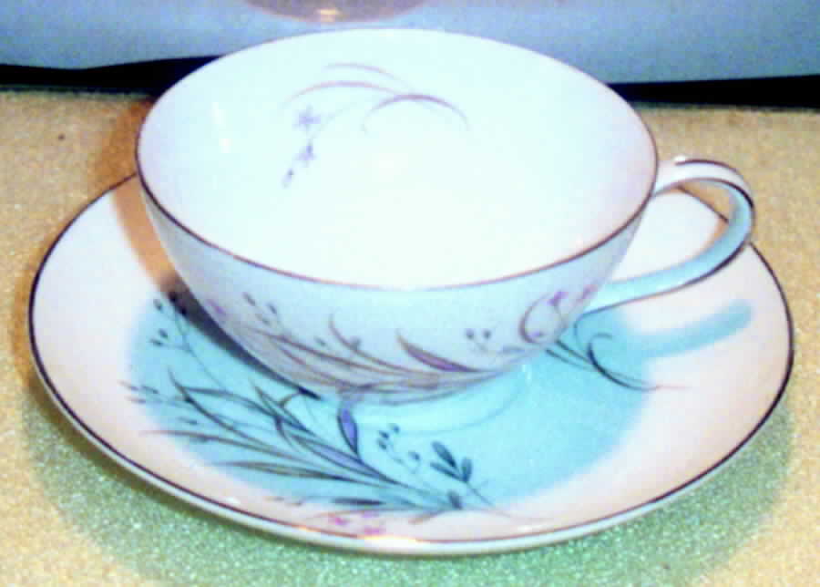 Capri Flat Cup & Saucer Set by King's Court-1